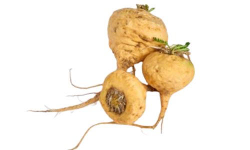 aphrodisiaque-femme-maca