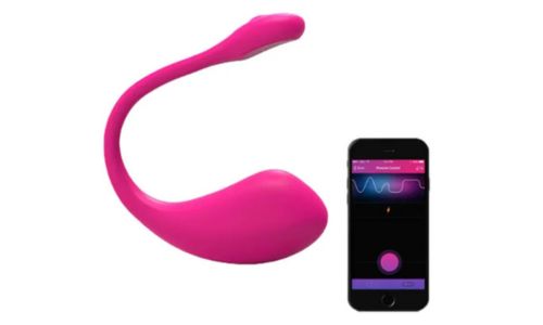 guide-oeuf-vibrant-utilisation-public